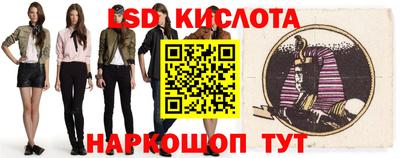 крисы Новозыбков