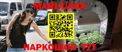 крисы Новозыбков