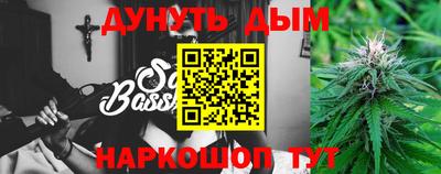 крисы Новозыбков