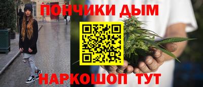 крисы Новозыбков