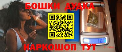 крисы Новозыбков