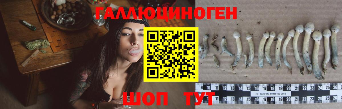 Псилоцибиновые грибы Psilocybine cubensis  Вход с VPN  Сыктывкар 